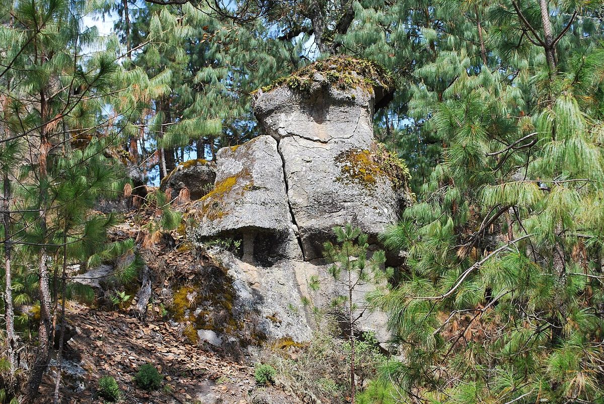 Peñasco de roca clara rodeado de pinos patula en una ladera.