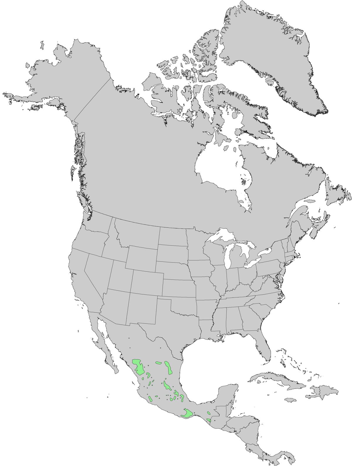 Mapa de Norteamérica con la distribución del pino teocote marcada en verde.