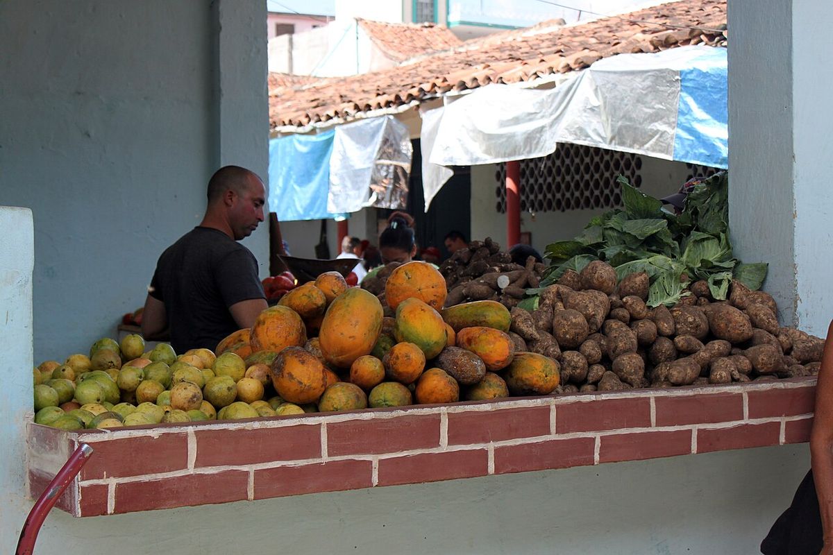 Puesto de fruta en la calle con guayabas y otras frutas apiladas sobre el mostrador.