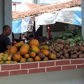 Puesto de fruta en la calle con guayabas y otras frutas apiladas sobre el mostrador.