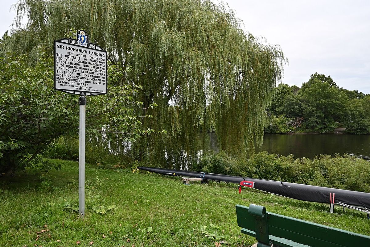 Sauce llorón junto a un lago, con una placa conmemorativa clavada al frente.