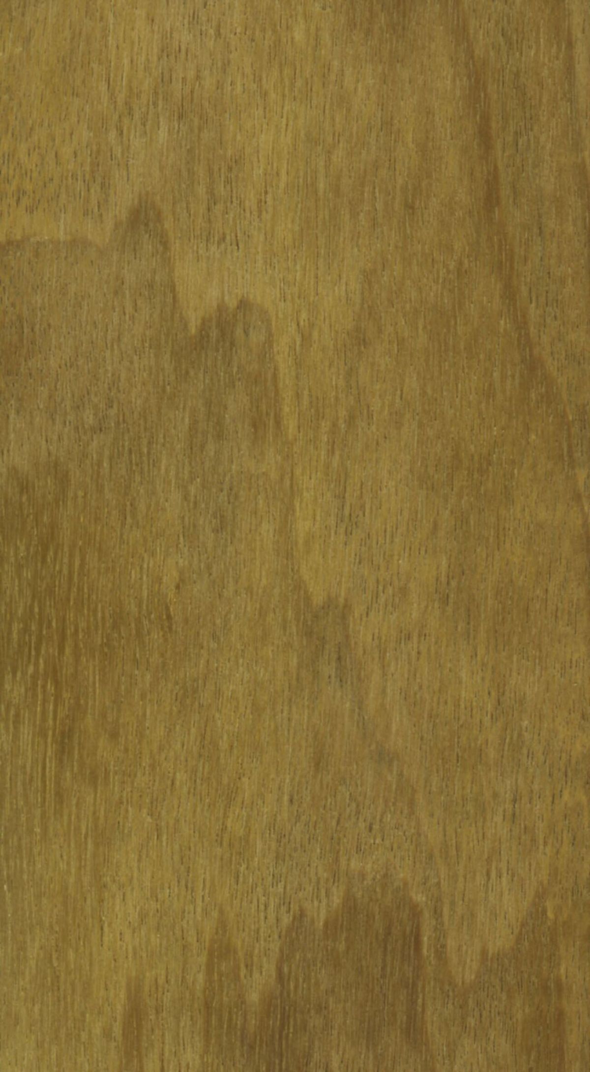 Tabla de madera de sombrerete, dorada y de veta muy fina y recta.