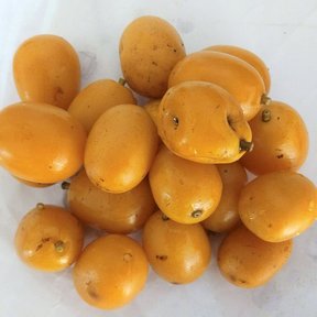 Jobos amarillos y maduros amontonados sobre una superficie clara.