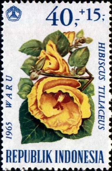 Timbre postal de Indonesia de 1965 con la flor amarilla del hibisco de playa.