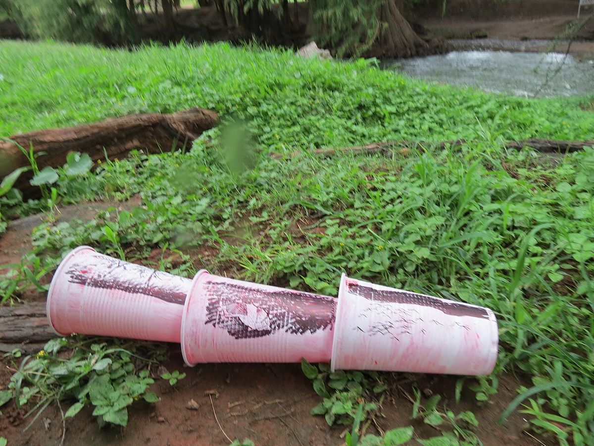 Un objeto rosado abandonado sobre el pasto, al pie de un ahuehuete de parque.