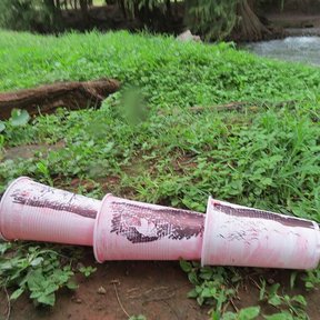 Un objeto rosado abandonado sobre el pasto, al pie de un ahuehuete de parque.