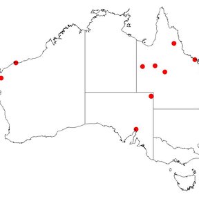 Mapa de Australia con puntos rojos donde se ha registrado la especie.