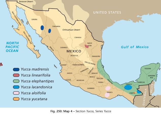 Mapa de México con la distribución de varias especies de yuca por colores.