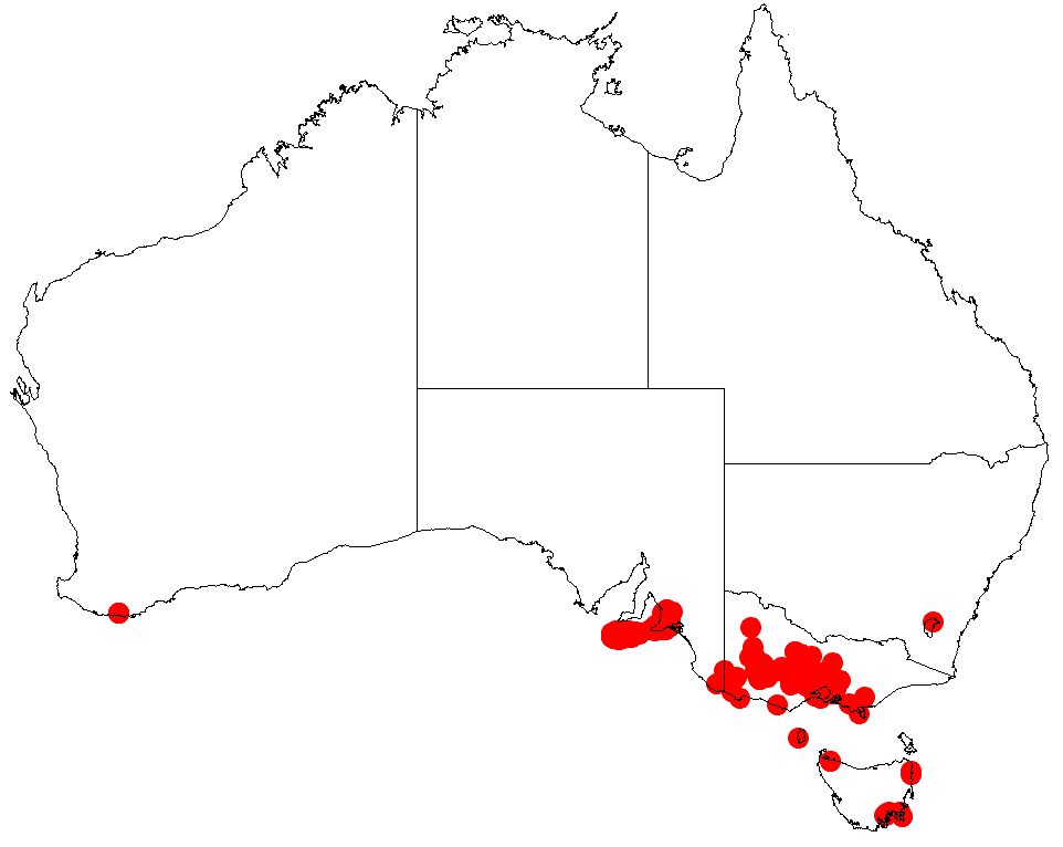 Mapa de distribución de la especie en el sur de Australia.