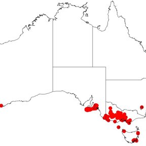 Mapa de distribución de la especie en el sur de Australia.