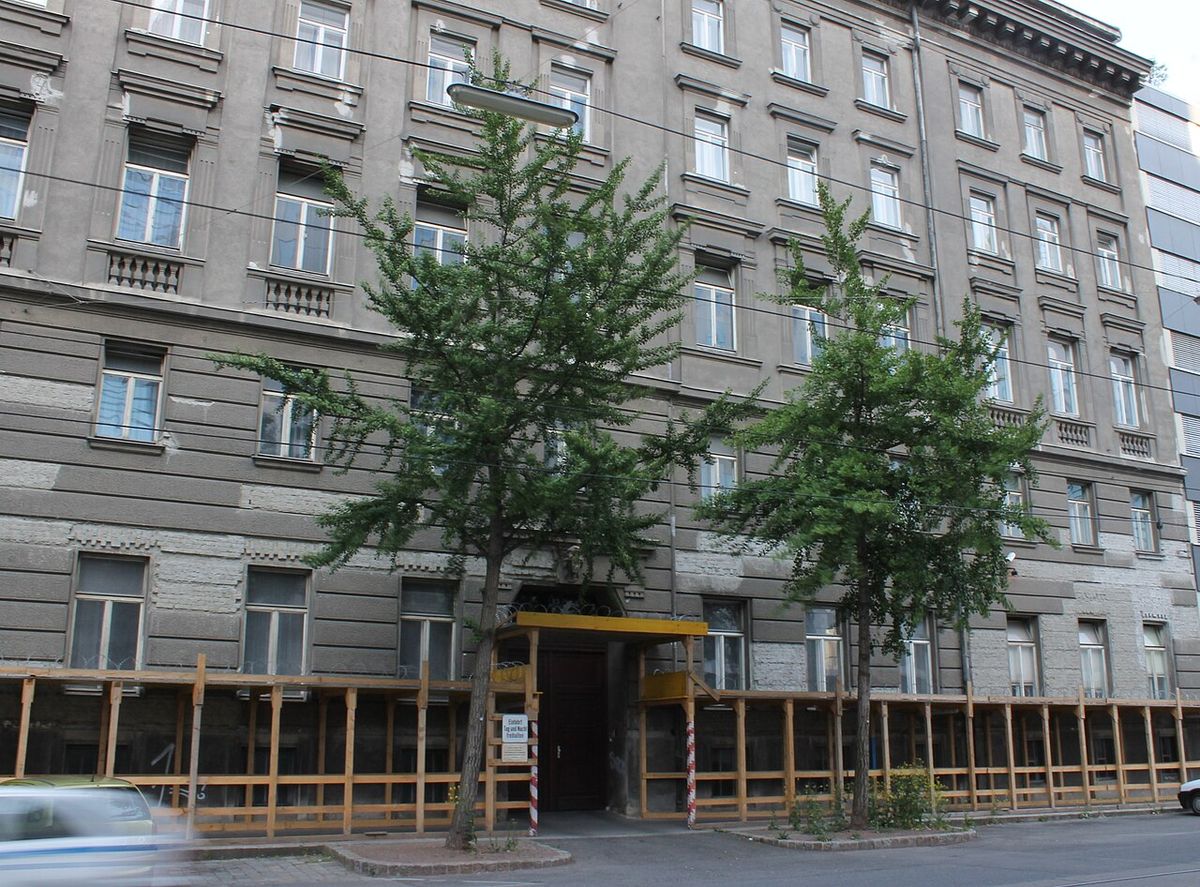 Dos ginkgos estrechos y altos frente a la fachada de un edificio.