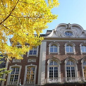 Hojas amarillas de otoño sobre la cornisa de un edificio.