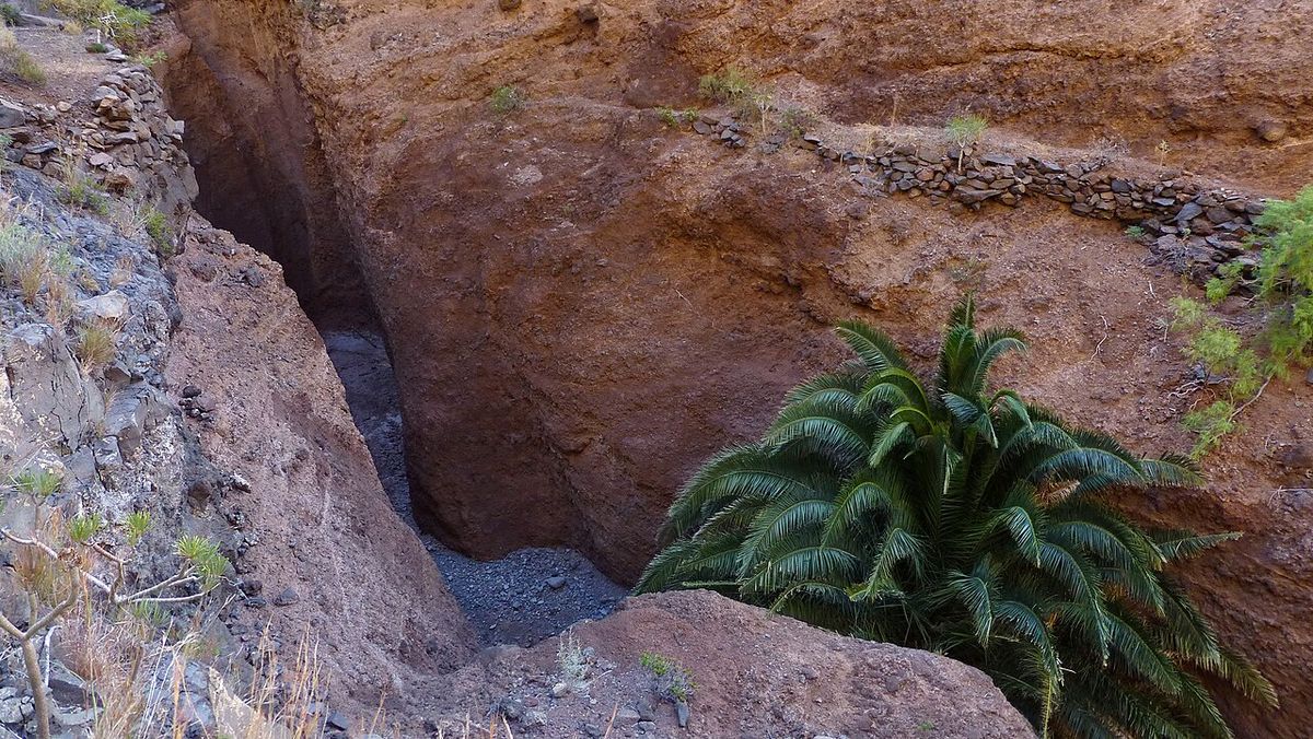 Palmera al pie de un tajo de roca rojiza.
