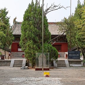 Coníferas en el patio de un templo, junto a un edificio de tejas.
