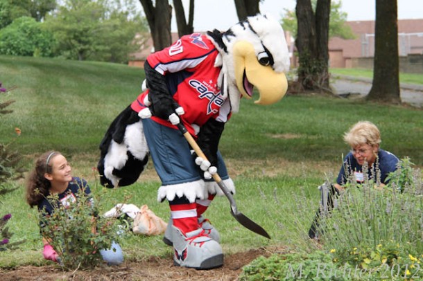 Slapshot! (M. Richter)