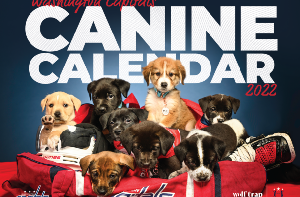 The Dogs Return: Caps Canine Calendar 2022! - Capitals Outsider | Hiswai