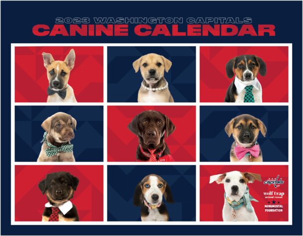 2024 Caps Canine Calendar Now Available! 2024 Caps Canine Calendar Now Available!