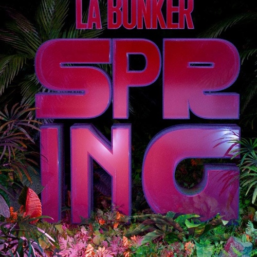 Bunker spring