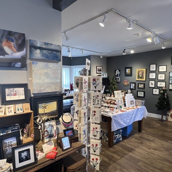 Art display at Hollis Artspace
