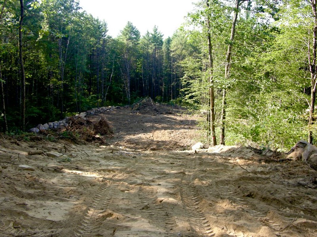 Yard Reclamation