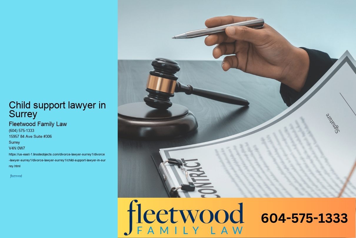 Child support lawyer in Surrey