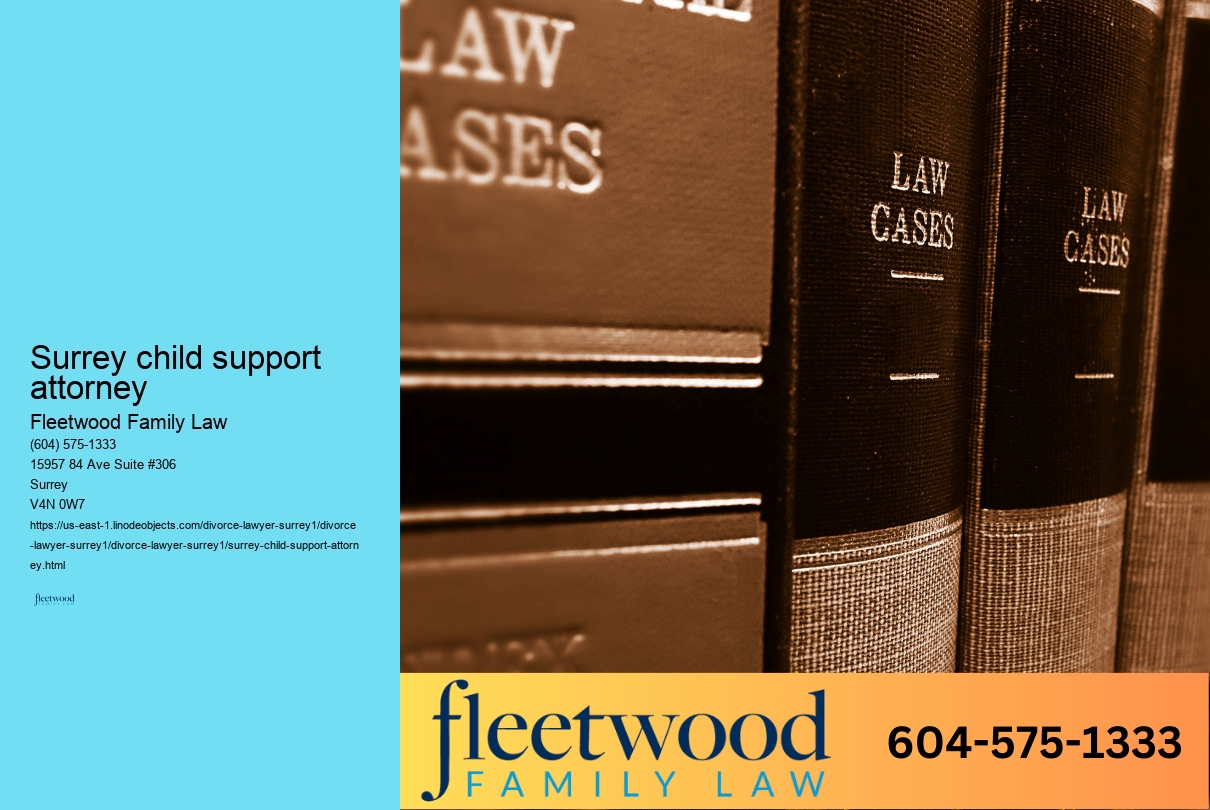 Surrey child support attorney