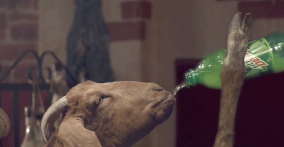 tyler-the-creator-directs-mountain-dew-commercial-plays-felicia-the-goat-pic002