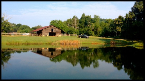 Fly-Fishing