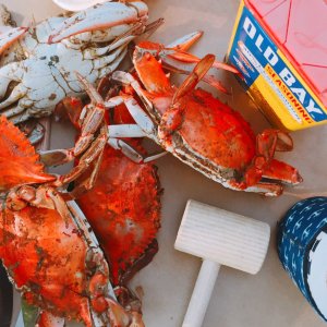 Four Tasty Ways to Eat Chesapeake Blue Crab