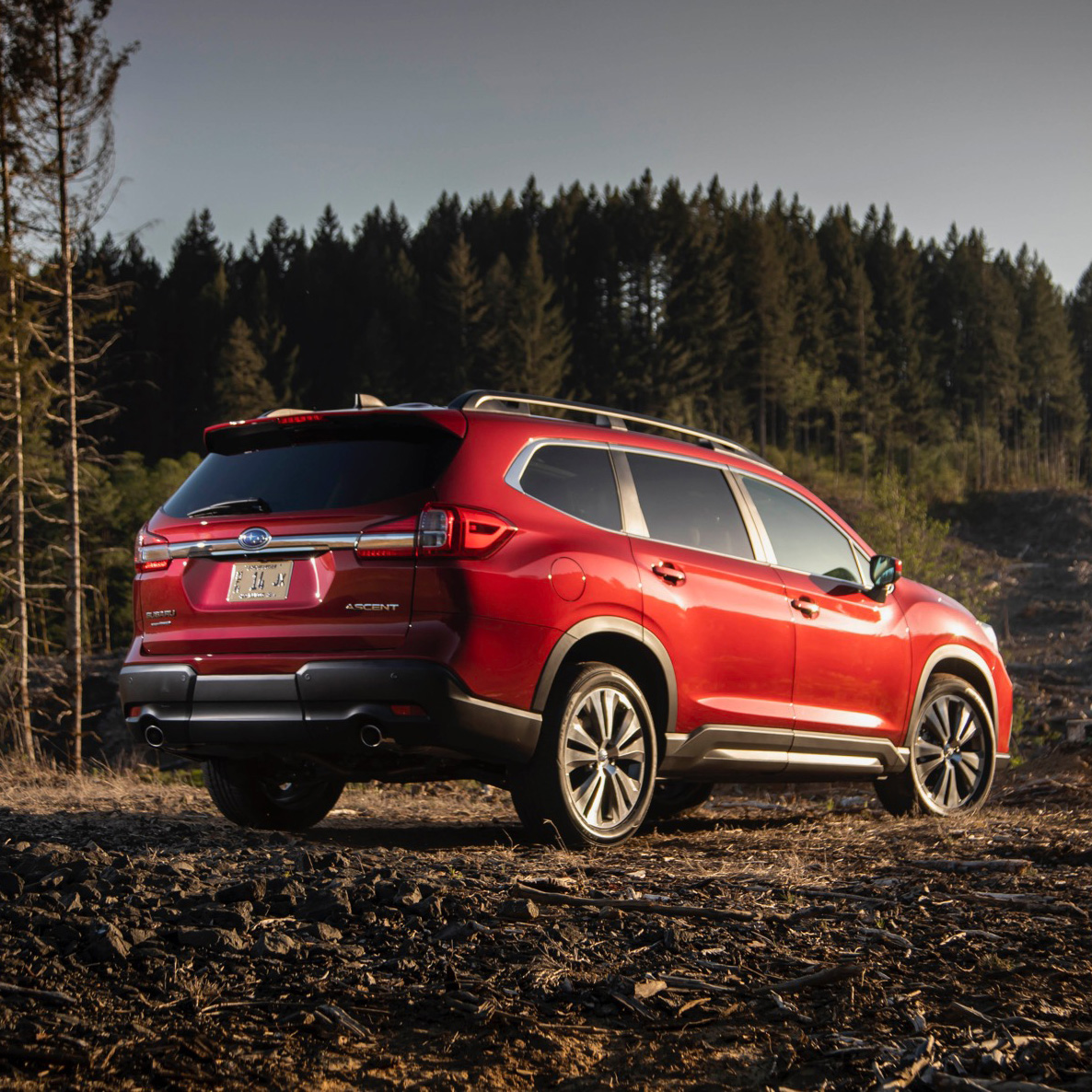 2019 Subaru Ascent Review