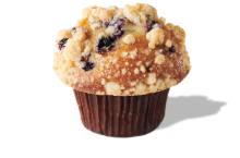 Blueberry Yogurt Muffin