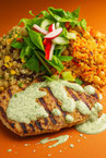 Grilled Fish & Salad Only
