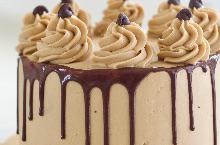 Mocha Fudge Cake Slice