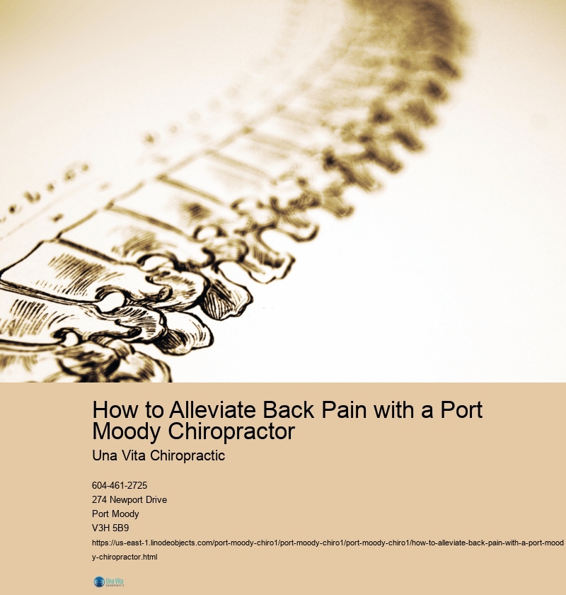 How to Alleviate Back Pain with a Port Moody Chiropractor 
