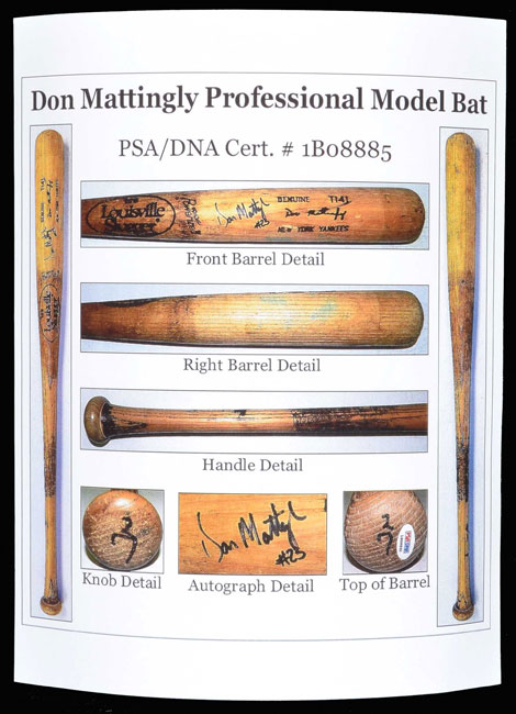 amazonbasics adjustable barbell lifting dumbells