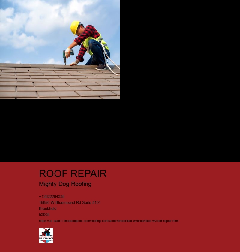 ROOF REPAIR Mighty Dog Roofing MIGHTY DOG ROOFING