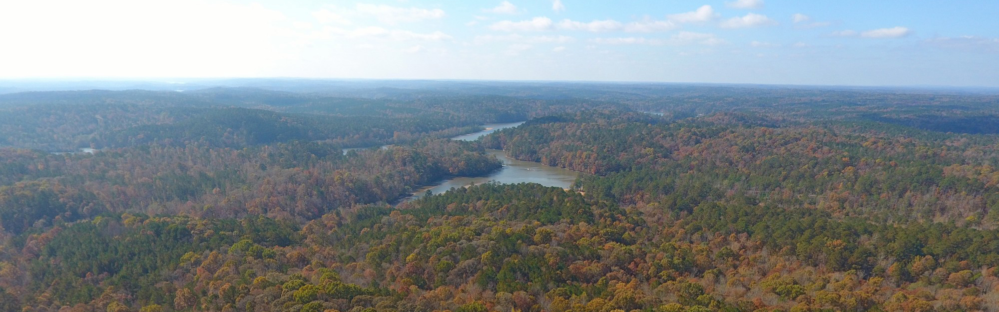 Land for Sale in Alabama, Florida, Kentucky, Mississippi