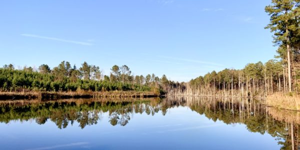 Property Showcases Southeastern Land Group