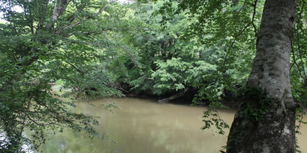 TALLAPOOSA RIVER FRONTAGE - Southeastern Land Group