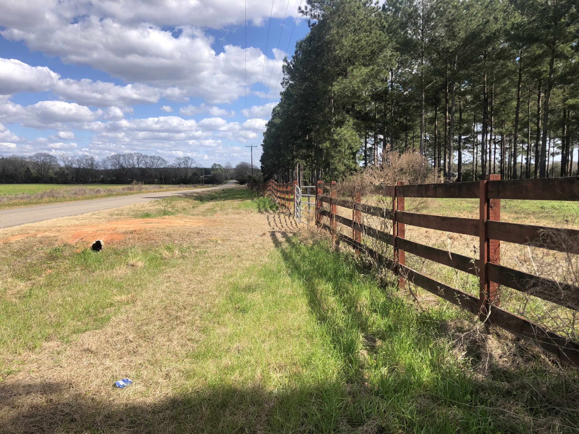 Geneva Co Rd 68 13ac MOL Southeastern Land Group