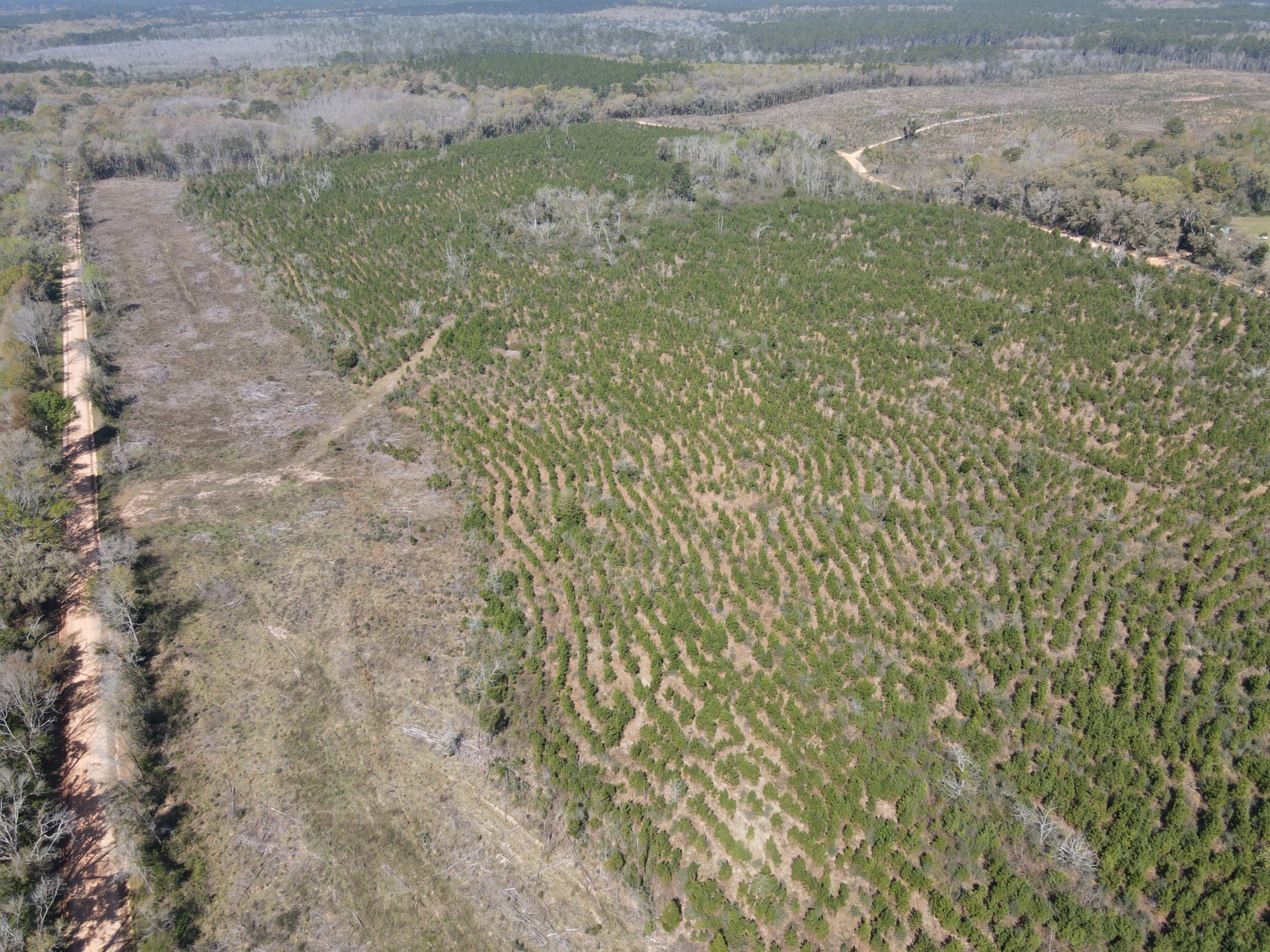 39 +/ Ac Beda Rd Southeastern Land Group