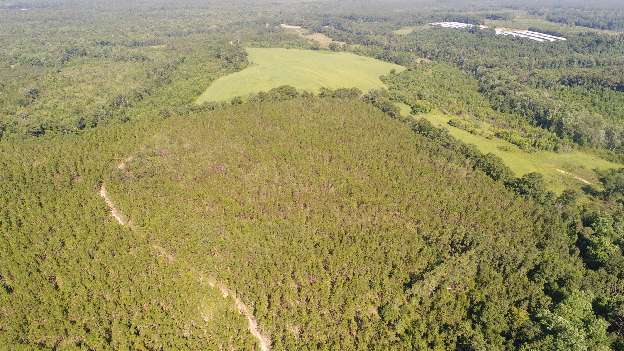 161+/ acres Crenshaw Co Southeastern Land Group