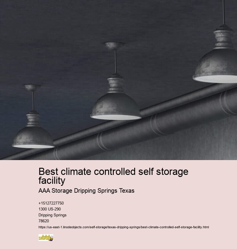 climate controlled storage facility Dripping Springs