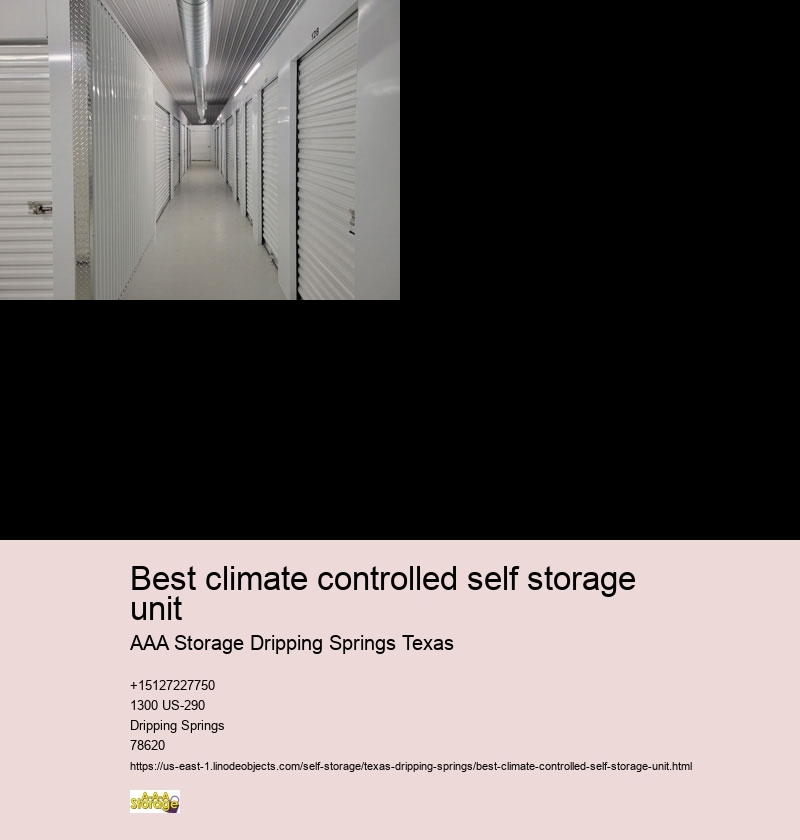 climate controlled self storage near Dripping Springs