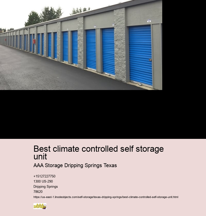 drive-up self storage facilities near Dripping Springs