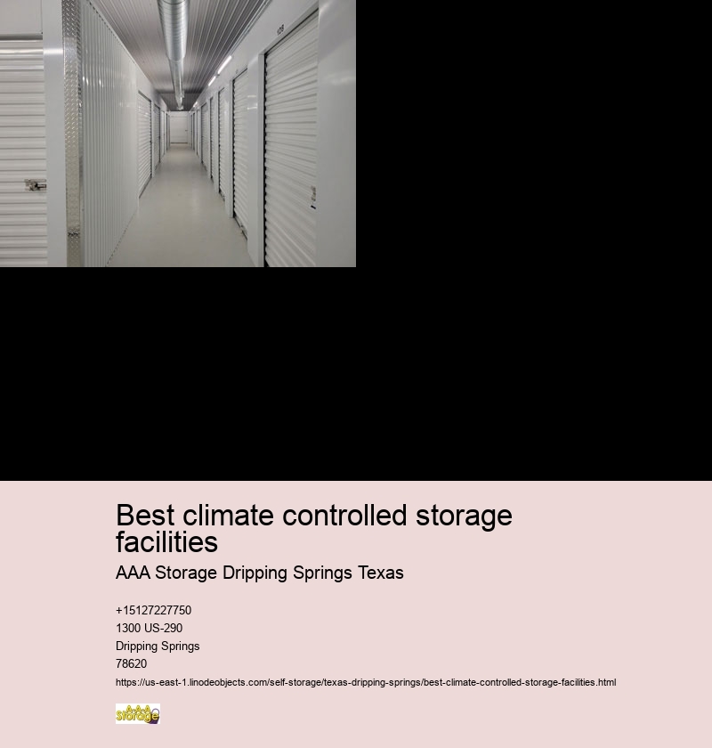 storage near Dripping Springs