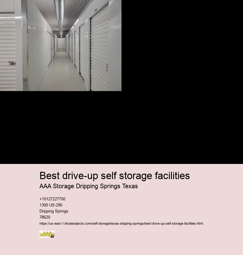 climate controlled self storages Dripping Springs