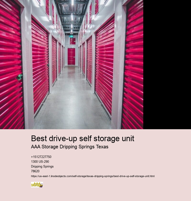 climate controlled self storage Dripping Springs