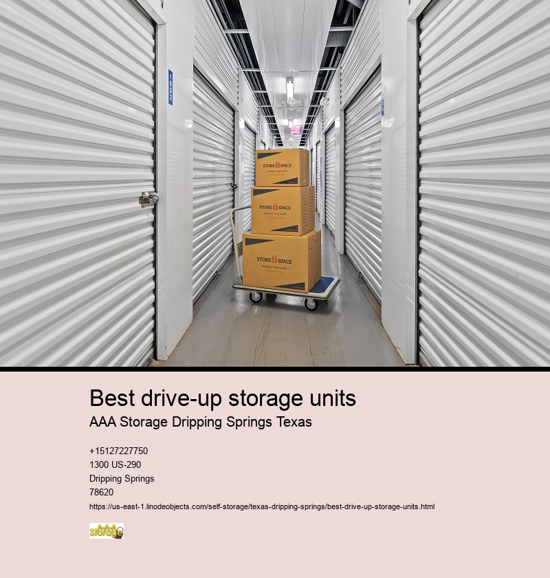 climate controlled storage unit near Dripping Springs