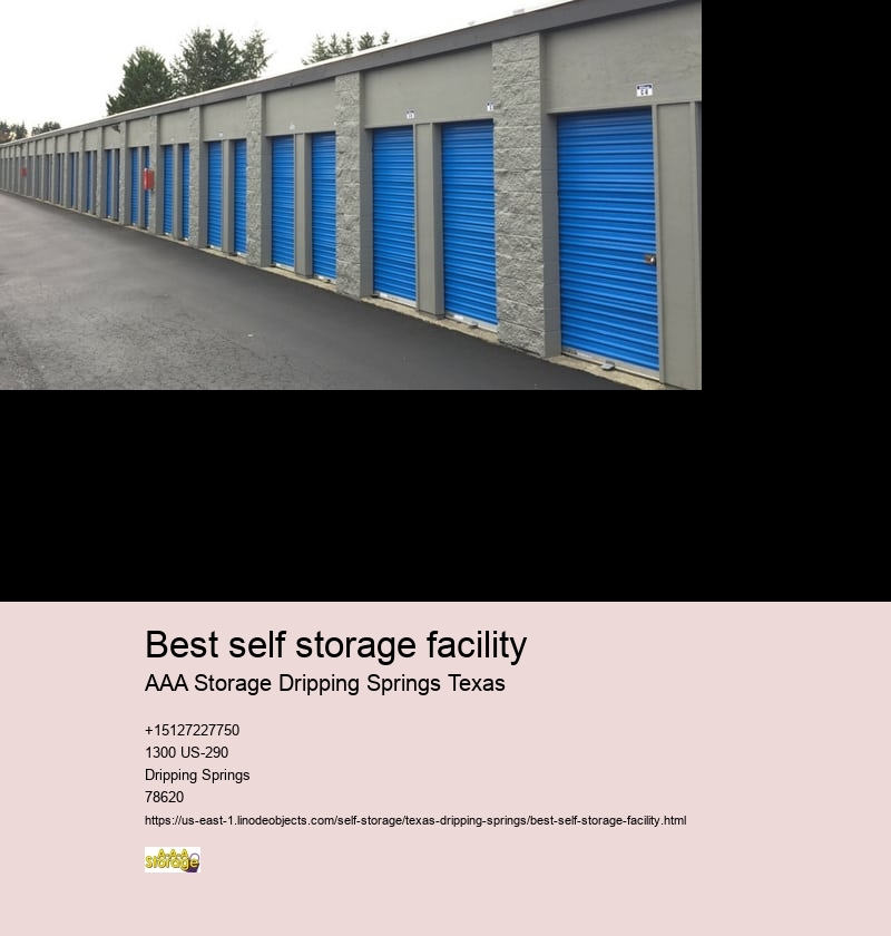 climate controlled storage facility Dripping Springs